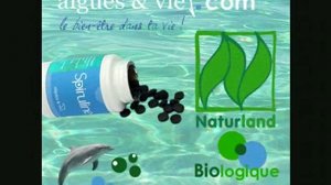 La Chlorella