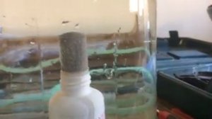 Самоделный оксидатор