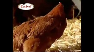 Реклама майонеза Calve 2010