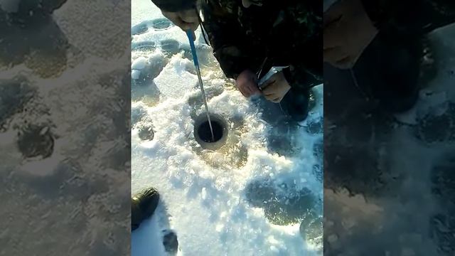 Зимняя ловля в различных водоёмах..