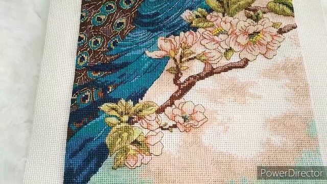 Дименшенс. Индийский павлин.Оформленная работа. смотреть онлайн