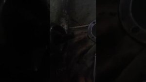 Замена сальника хвостовика редуктора