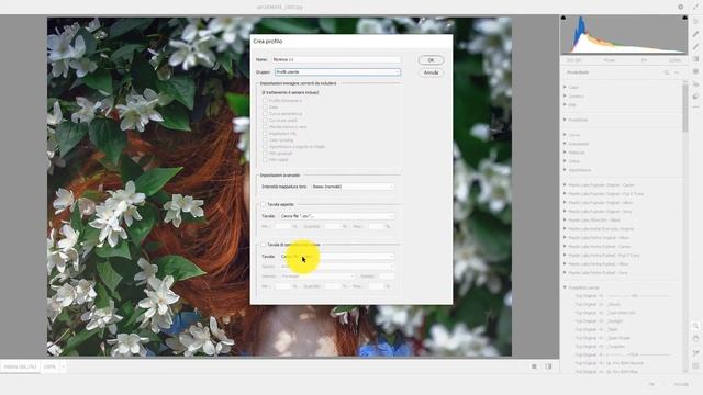 how to install LUTs on Camera Raw смотреть онлайн