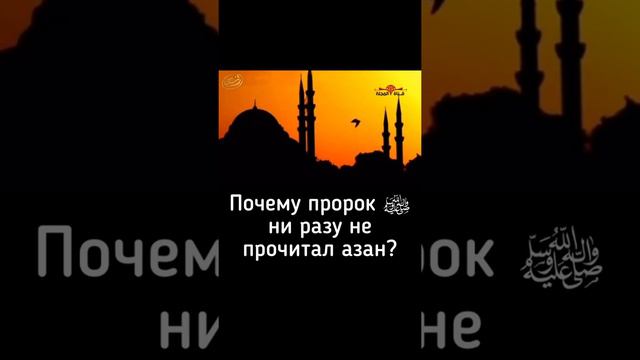Почему пророк (С.А.С) ни разу не прочитал Азан? смотреть онлайн