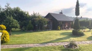 Сад лёгкого ухода. Минимальный уход. Как держать сад в порядке. #уходзасадом #ландшафтныйдизайн