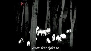 thermal riflescope Fortuna General 40L6