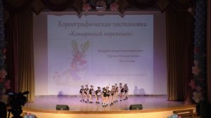 Комариный переполох - АНО ХШ "Аллегро"