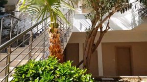 CLUB MERMAID 4* Тюрклер Аланья, Турция. Отель на твёрдую четвёрку.