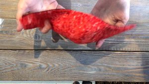 Маска для лица своими руками многоразовая. Мастер-Класс! Как сшить маску!/ DIY mask.