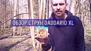 Обзор струн для электрогитары D'Addario XL 10-46