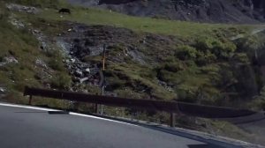 #1 SS38 Перевал Стельвио: от Бормио до вершины (Bormio - Stelvio pass)