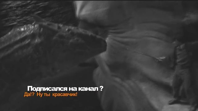 Василиск. Фантастические твари и где они обитают. Мир Гарри Поттера. Гарри Поттер вики. смотреть онлайн