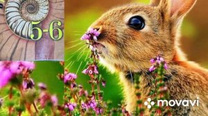 Биология учебник 5-6 класс ( Пасечник ), Параграф 32 аудио #биология #пасечник #параграф32