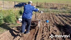 Мотоблок Кутаиси - копалка с бункером