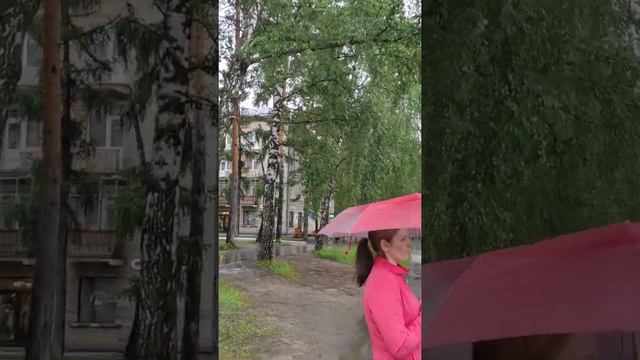 прогулка по Академгородоку Новосибирск, ч 8