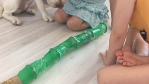 ХОМЯКАМЕРА 3  | ДЖУНГАРСКИЙ ХОМЯК БЕГАЕТ В ТУННЕЛИ | ТУННЕЛЬ ДЛЯ ХОМЯКА  |  ВИДЕО ПРО ХОМЯКА