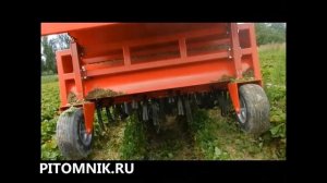 Обрезчик усов у клубники