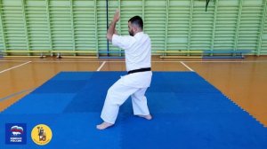 Спортивная Школа Возрождение. Каратэ кёкусинкай. Пинано сано ни (2 пинан).