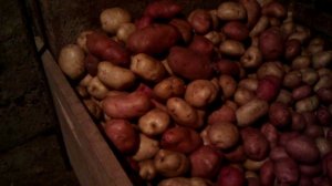 Как правильно выращивать картофель (ведро с куста)