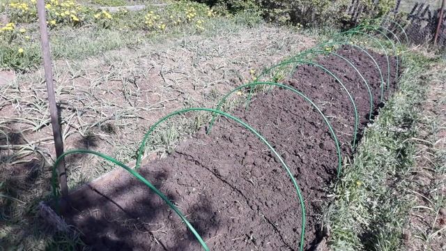 Дуги для парника - будем выращивать огурцы