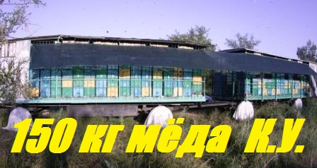 Есть рекорд-150 кг мёда на К.У. Почему я не качаю мёд подсолнуха. смотреть онлайн