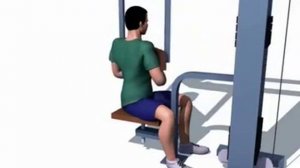 Правильное выполнение - Поворот в сторону (тренажер)