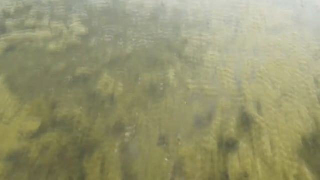 Чаны Дядя Вася Омск смотреть онлайн