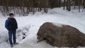 Голова в Петергофе. Подлинная история  неизвестна.