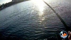 Морская рыбалка. Крым. Судак