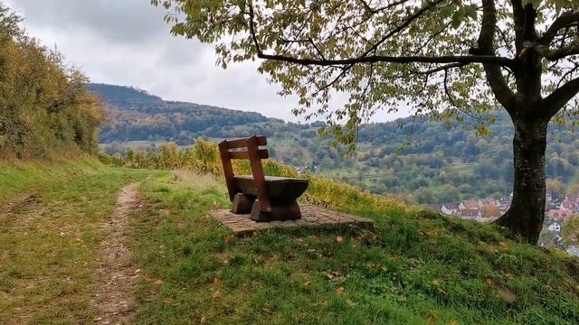 Шварцвальд. Осень. Октябрь