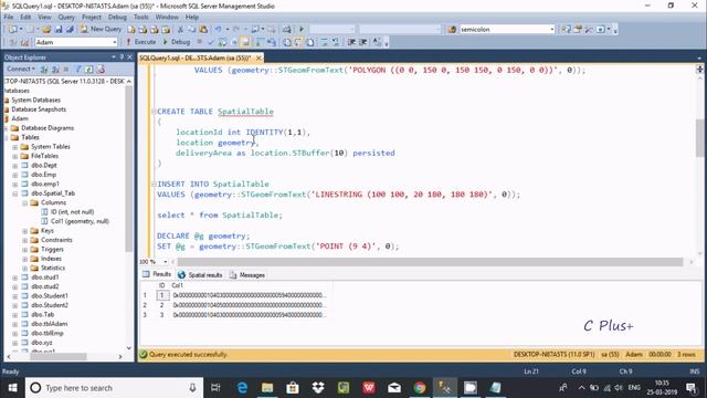 Spatial Datatypes in SQL Server