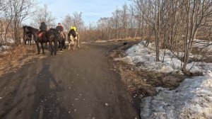 Мотоцикл 19.04.2024