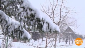 Ура! Первый снег! Доброе утро. Фрагмент выпуска от 21.11.2022