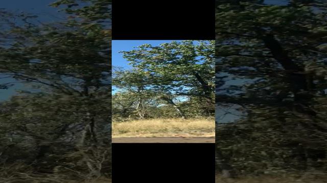 Поездка смотреть онлайн