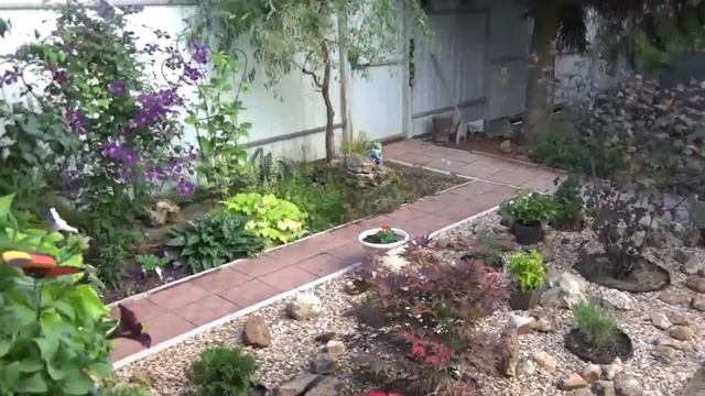 Дача. Август.Продолжение. Розы Гортензии Петунии Пеларгонии и др.Том и Гоша смотреть онлайн