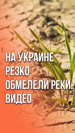 Украину покидает вода. Жуткое видео из западных регионов