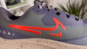 Nike Air Zoom Pegasus 39 Shield Review& On foot