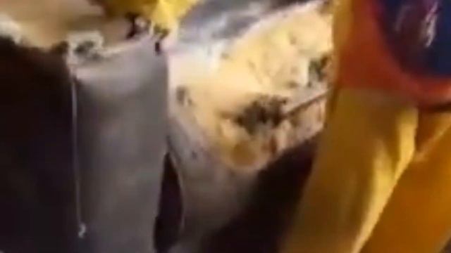 Pesanan Payu 4jt Ibanez RG 450 LTD Japan смотреть онлайн