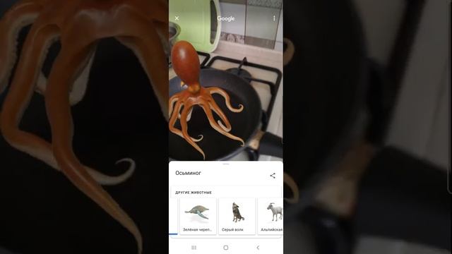 жарю на сковороде 3D осьминига из гугла на сале ( т.к. масло кончилось) смотреть онлайн