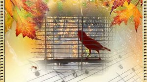 Кенар - НОВЫМИ КРАСКАМИ ДЕНЬ РАСЦВЕТАЕТ... солирует на песню Сергея Гвоздики