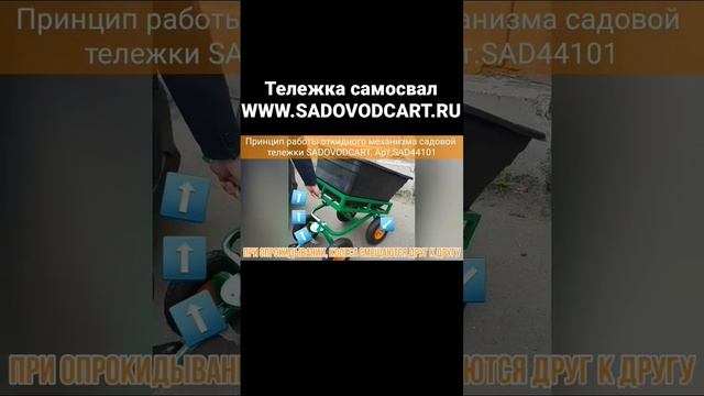 #сад #дача #тележка #огород #любовь #цветы #gardener #garden #cart #beauty #кострома #shorts #auto