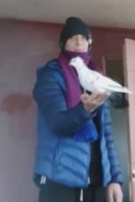 ГОЛУБЕВОДСТВО [1 Сезон] • Выпуск #2 • Трофейные