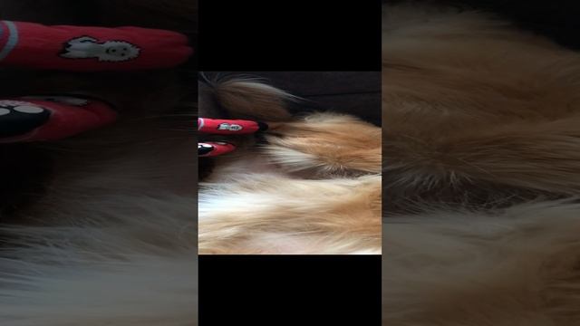 Милость смотреть онлайн