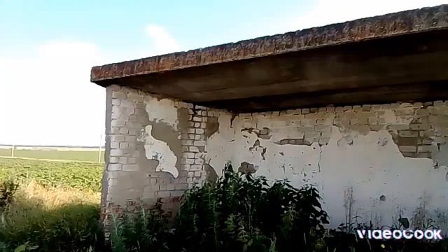 Еду на Альфе на приличное расстояние смотреть онлайн