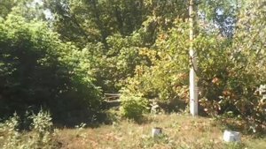 Самодельный трактор с двигателем ваз