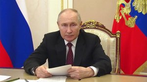 Владимир Путин в режиме видеоконференции провел ежегодное заседание СПЧ