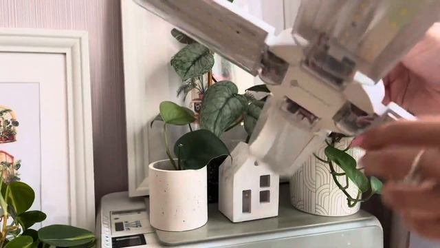 Часть 1. Чем я досвечиваю растения? Фитолампа Лепесток от МИНИФЕРМЕР | досветка комнатных растений смотреть онлайн