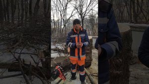 нарушение техники безопасности при спиле аварийного дерева, жилищник ХМ