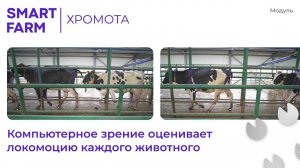Модуль SMART FARM | ХРОМОТА: компьютерное зрение оценивает локомоцию по ключевым точкам.