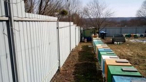 Почему не изолирую маток